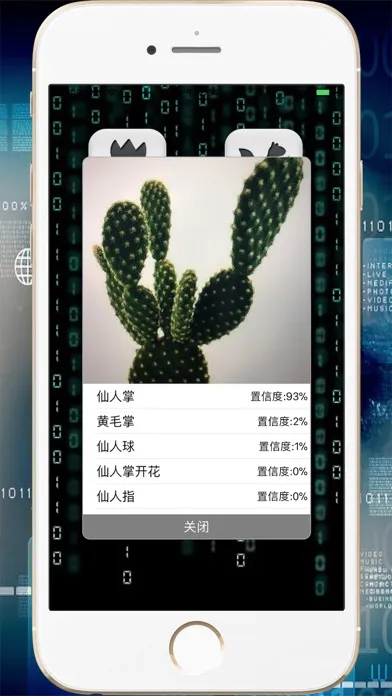 صور 拍照识图-智能慧眼识别图片