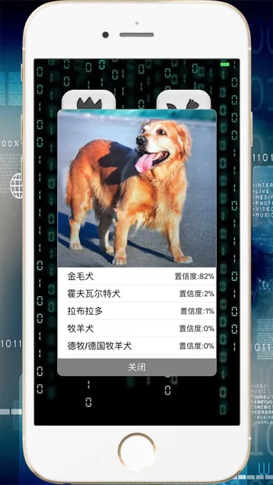 صور 拍照识图-智能慧眼识别图片