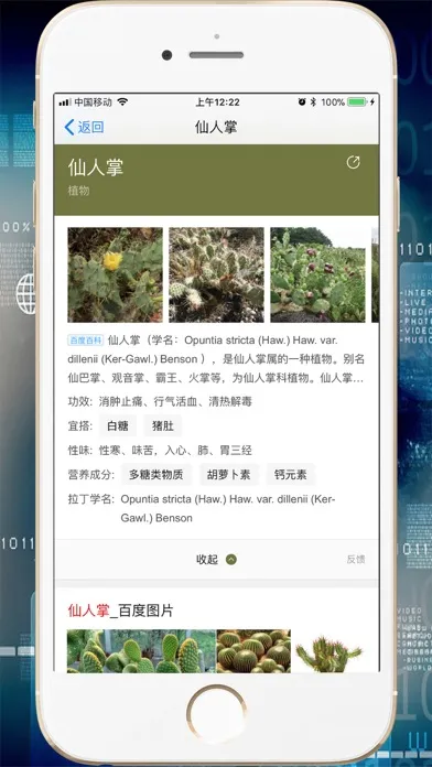 صور 拍照识图-智能慧眼识别图片