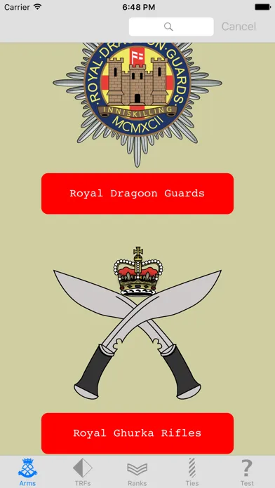 Army Insignia 스크린샷