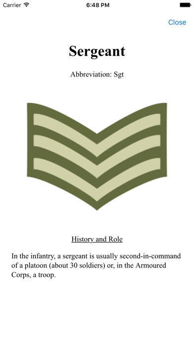 Army Insignia 스크린샷