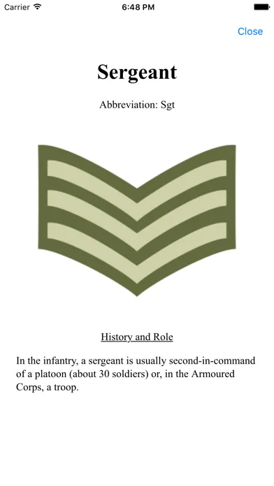 Army Insignia 스크린샷