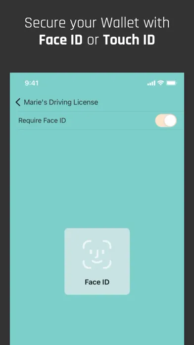 Скриншоты Captain Wallet