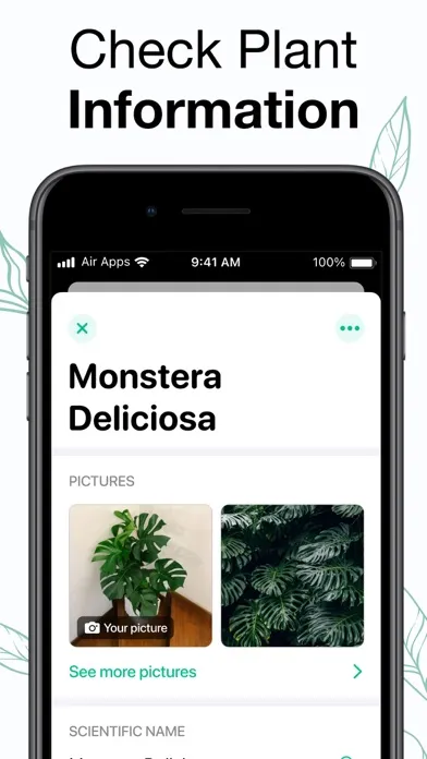 Captures d'écran de Plants Air - Plant Identifier