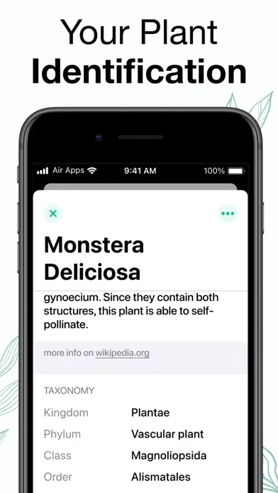 Captures d'écran de Plants Air - Plant Identifier