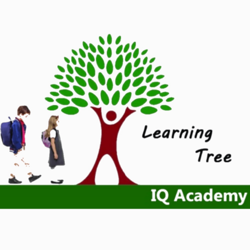 IQ Academy