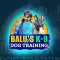 Balu's K-9 Dog Training