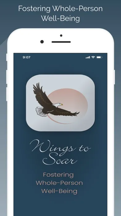 Zrzuty ekranu Wings to Soar
