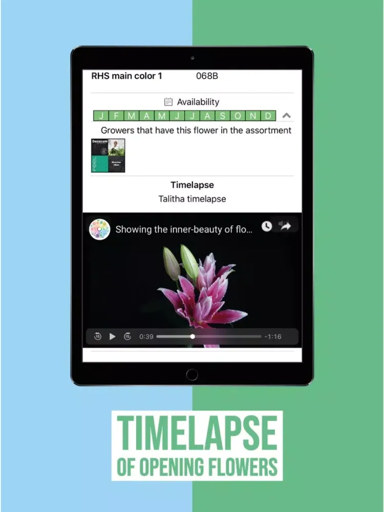 FlowerBook iPad  Ekran Görüntüleri