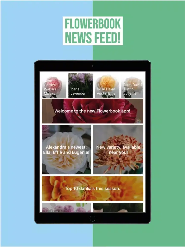 FlowerBook iPad  Ekran Görüntüleri