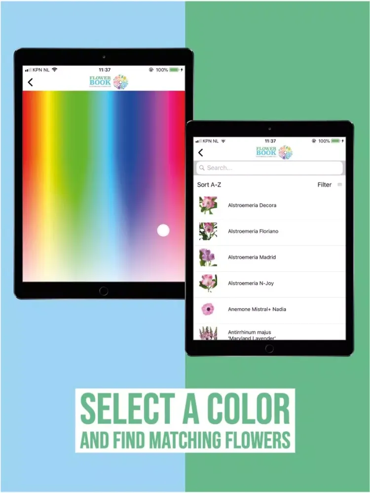 FlowerBook iPad  Ekran Görüntüleri