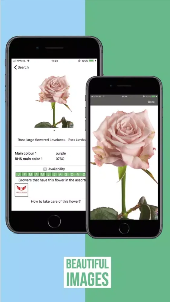 FlowerBook Ekran Görüntüleri