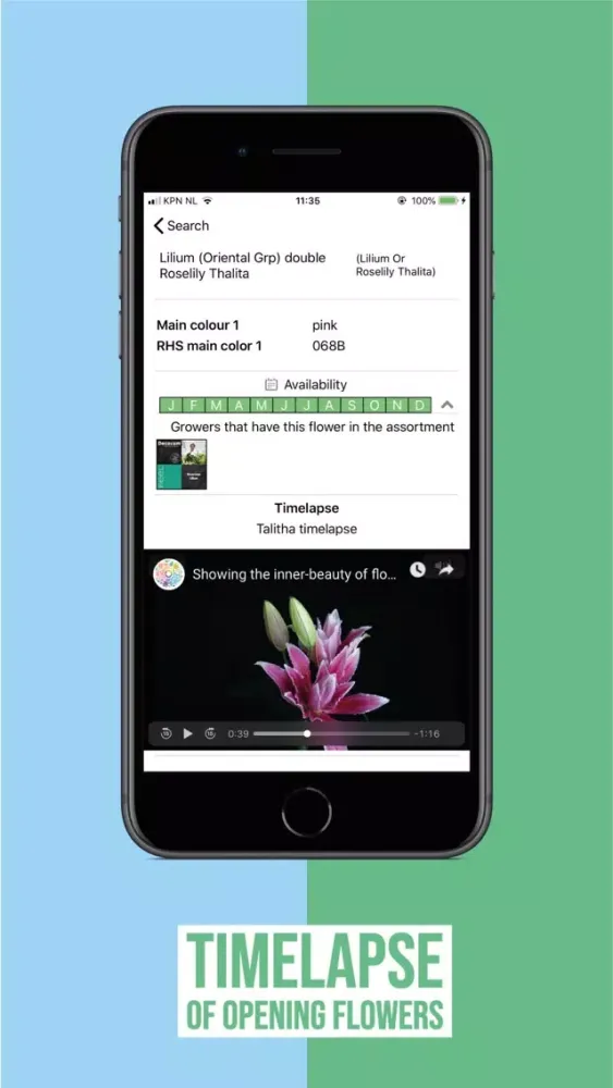 FlowerBook Ekran Görüntüleri