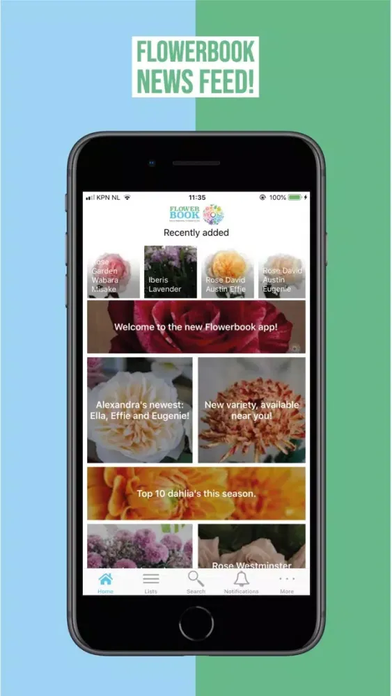 FlowerBook Ekran Görüntüleri