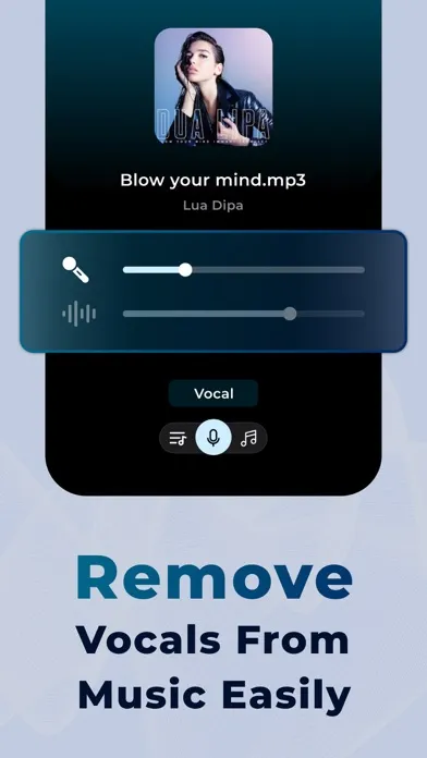 Flux - AI Vocal Remover應用截圖