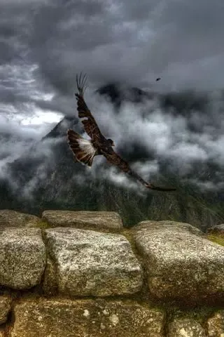 Awesome Wallpapers Unlimited سکرین شاٹس
