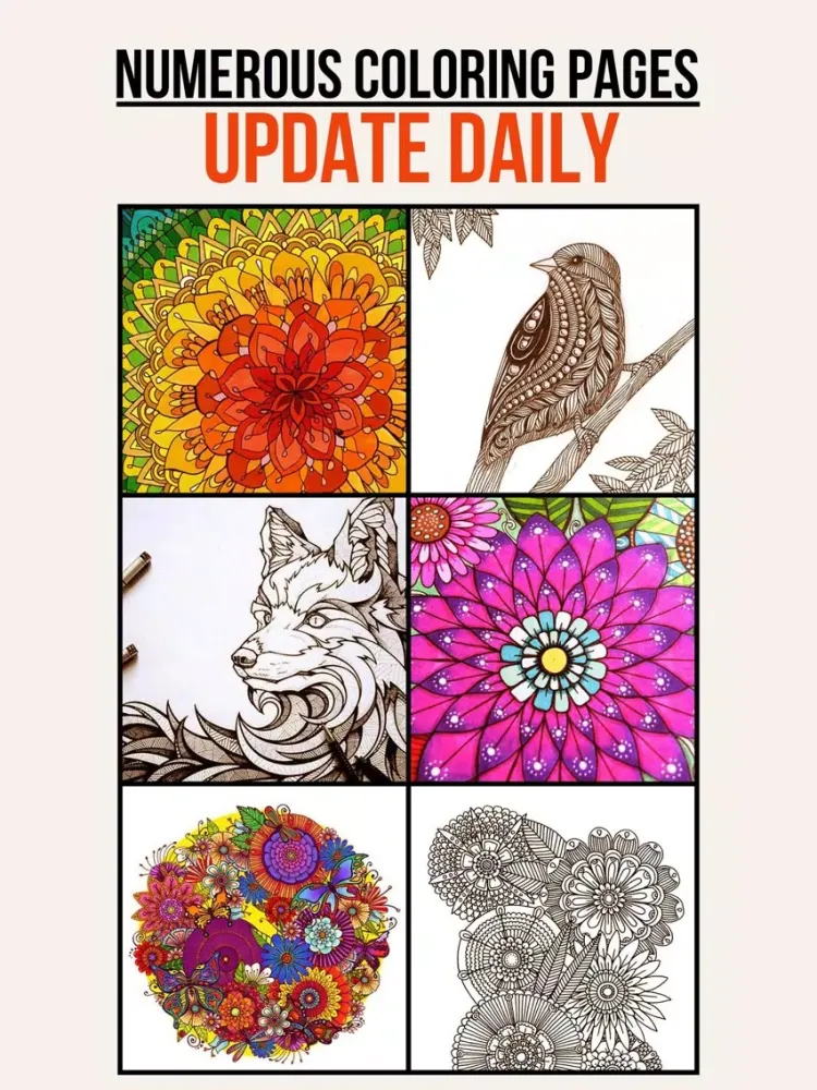 Colorfit - Adult Coloring Book - Secret Garden iPad  Ekran Görüntüleri