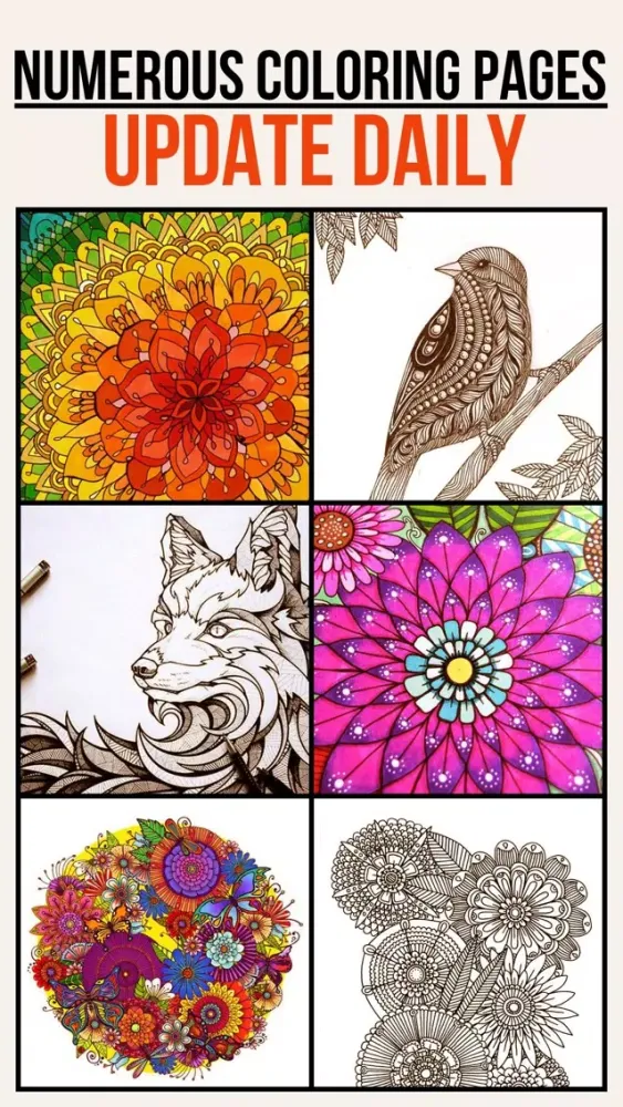 Colorfit - Adult Coloring Book - Secret Garden Ekran Görüntüleri