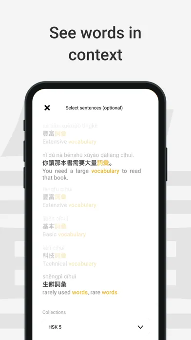Chinese Dictionary by Serica Ekran Görüntüleri