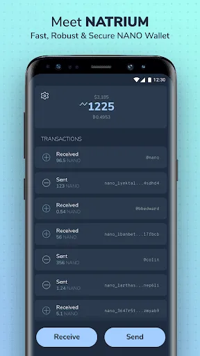 Capturas de pantalla de Natrium - NANO Wallet