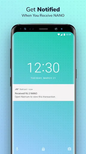 Capturas de pantalla de Natrium - NANO Wallet