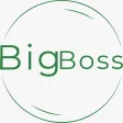 Big boss