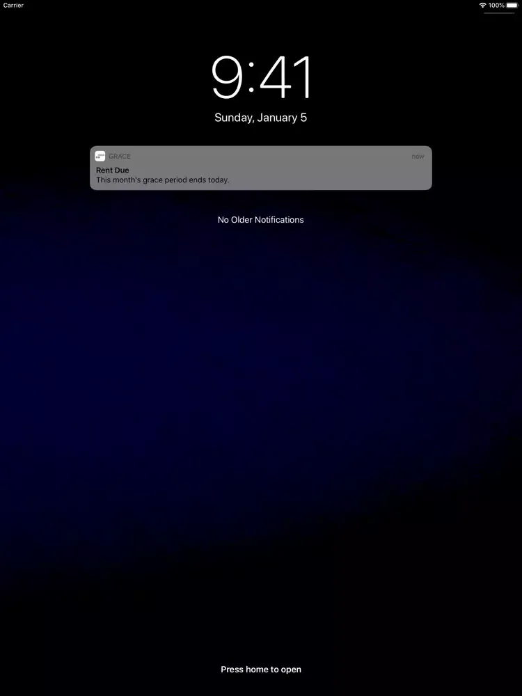 Capturas de pantalla de Grace: Rent Reminders iPad 