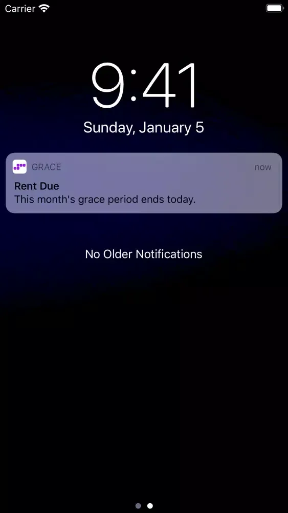 Capturas de pantalla de Grace: Rent Reminders
