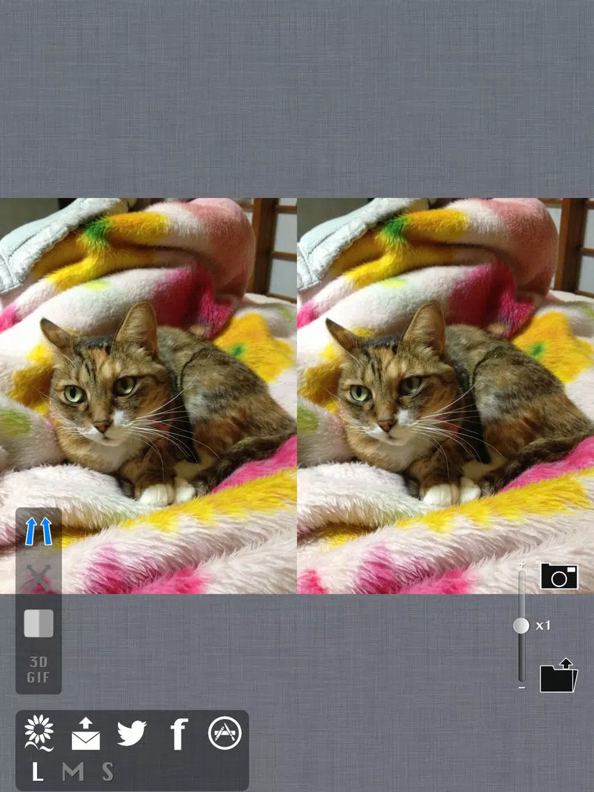 Tangkapan skrin 3DShot! iPad 