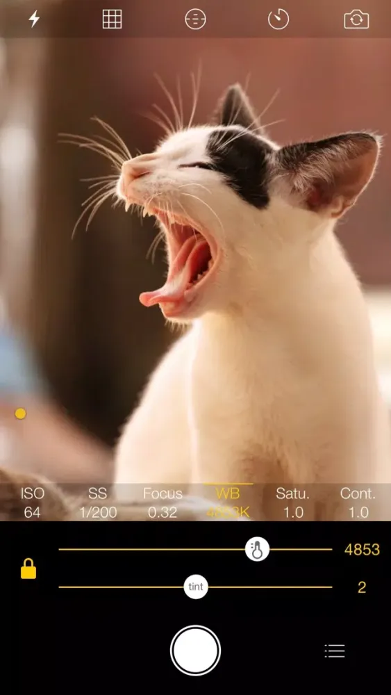 Ảnh chụp màn hình của ManualShot!