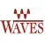 Waves Shiv R. Goel