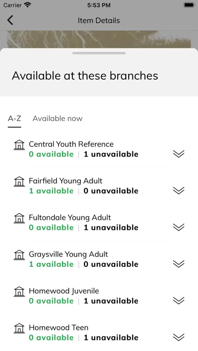 Screenshot di Birmingham Public Library