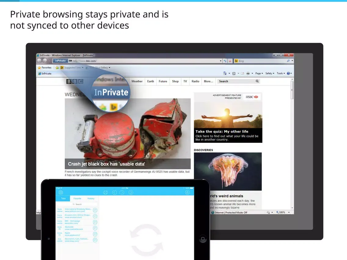 Sync for IE (Microsoft Internet Explorer) tabs, favorites and history iPad  スクリーンショット