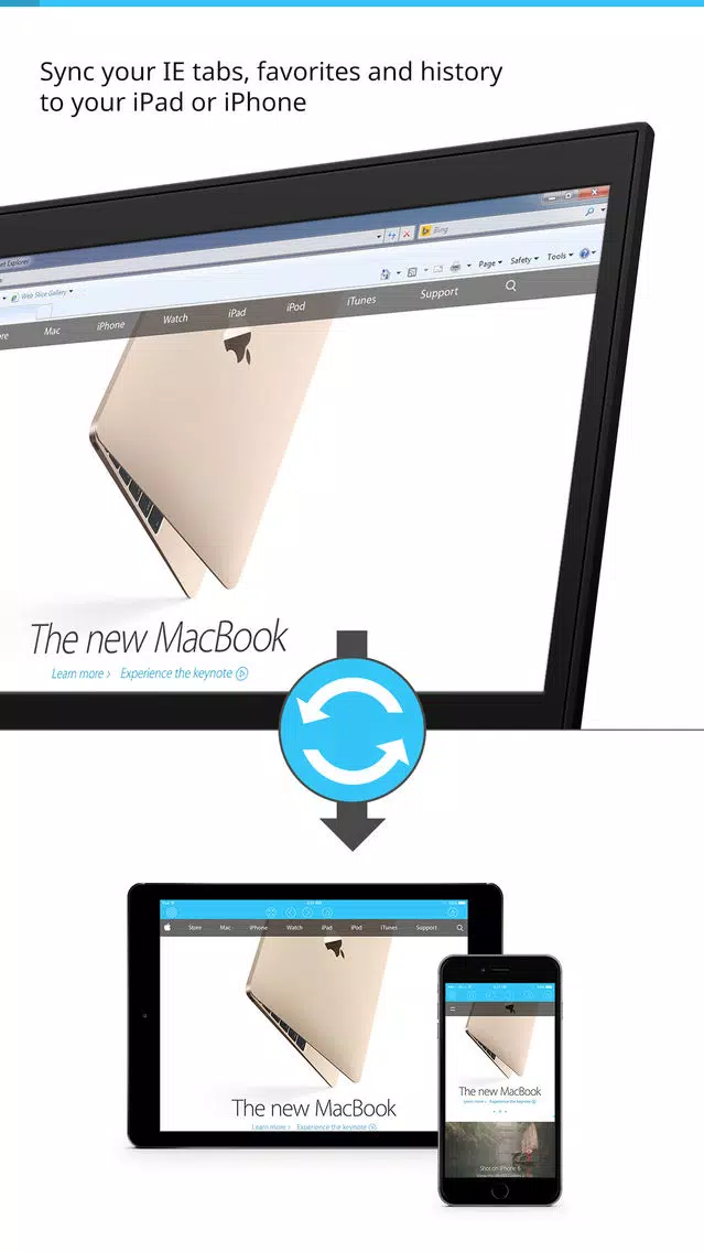 Sync for IE (Microsoft Internet Explorer) tabs, favorites and history স্ক্রিনশট