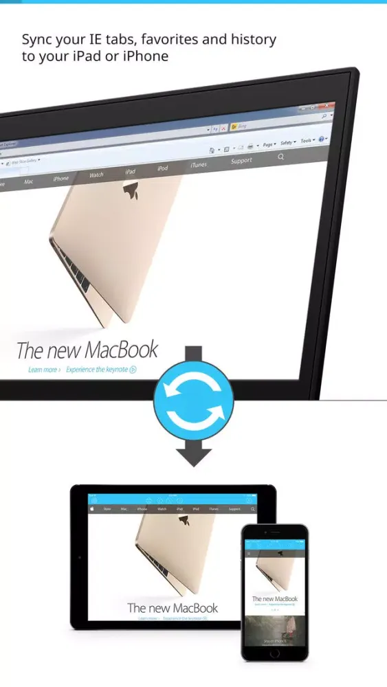 Sync for IE (Microsoft Internet Explorer) tabs, favorites and history スクリーンショット