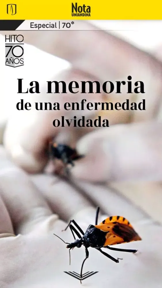 Revista Nota Uniandina Screenshots