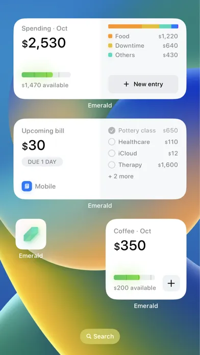 Tangkapan skrin Gem - Money tracker