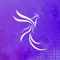 Aion | Workout Timer