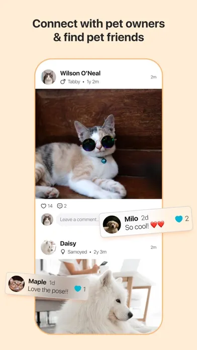Pet Mind: AI Cat & Dog Care स्क्रीनशॉट