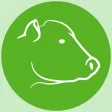NZ Farmer Tips by AgriHealth