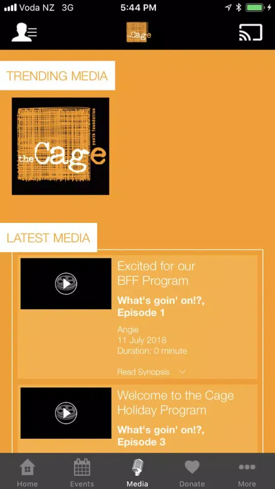 The Cage Youth Foundation Screenshots