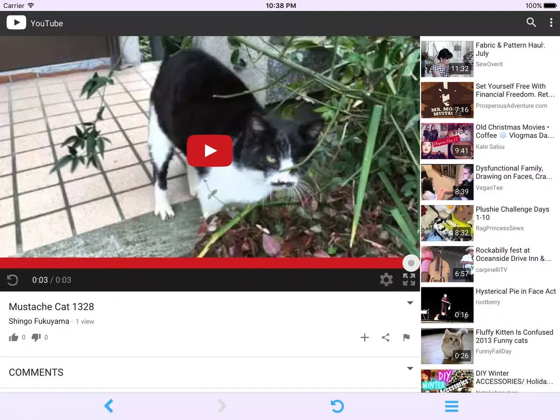 Play video while using another App for YouTube - Gibeon iPad 应用截图