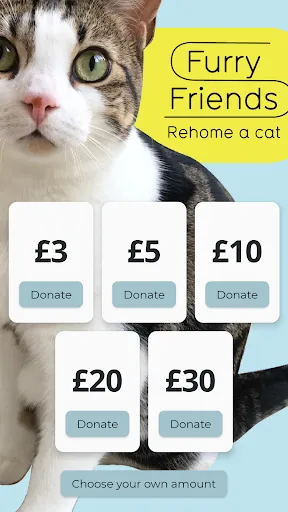 Give A Little Screenshots