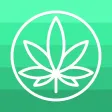 NewsBudz