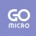 Micro Quest