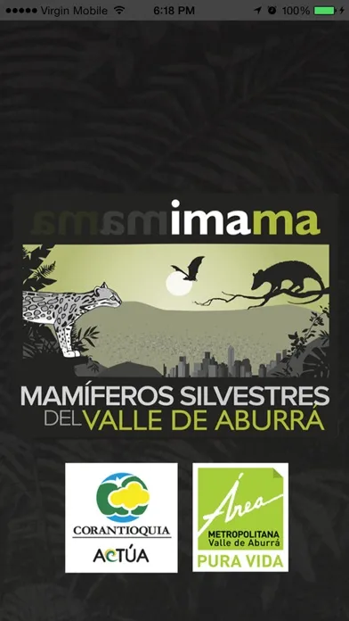 imama应用截图