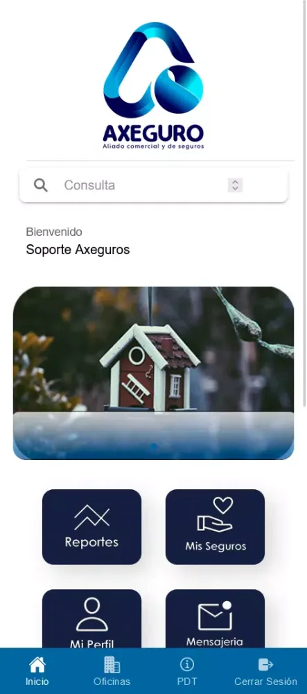 Axeguro应用截图