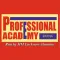 Professional Academy