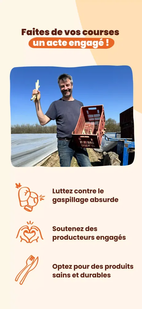 Bene Bono Screenshots