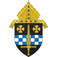 DioPitt